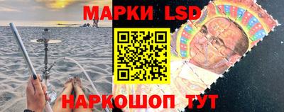 крисы Можга
