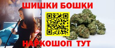 крисы Можга