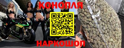 крисы Можга