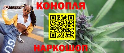 стафф Моздок