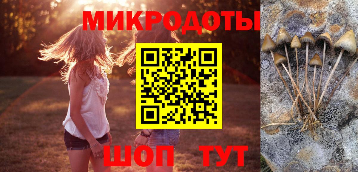 наркотики  Псилоцибиновые грибы мухоморы  Хабаровск  Вход с VPN  Галлюциногенные грибы MAGIC MUSHROOMS 